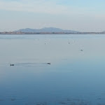 Photo n°1 de l'avis de Andrea.n fait le 11/01/2019 à 11:49 sur le  La Taverna à Orbetello