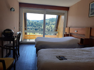 Photo n°116 de Hôtel de la grande cascade à Le Tholy ()