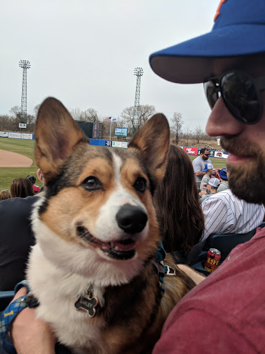 Stadium «NBT Bank Stadium», reviews and photos, 1 Tex Simone Dr, Syracuse, NY 13208, USA