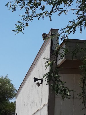 Adobe Manor Mobile Home Park - photo 6