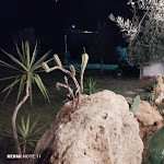 Photo n°3 de l'avis de Teresa.a fait le 24/08/2023 à 22:16 sur le  Domus Arcuri - Agriturismo con animali da fattoria ed Area Camper à Cirò Marina