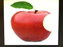 San Jose Urgent Care 120 Dollars A Visit - Photo 6 - Car repair in San Jose, CA, San Jose