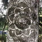 Photo n°10 de l'avis de TOLLHAUS. fait le 11/11/2020 à 17:48 sur le  Naturchalets 7 Sentidos à Bischofsmais