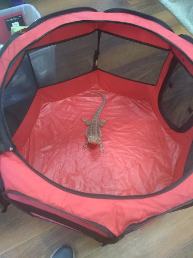 Pet Store «Pet Valu», reviews and photos, 1091 Mill Creek Rd #5a, Allentown, PA 18106, USA