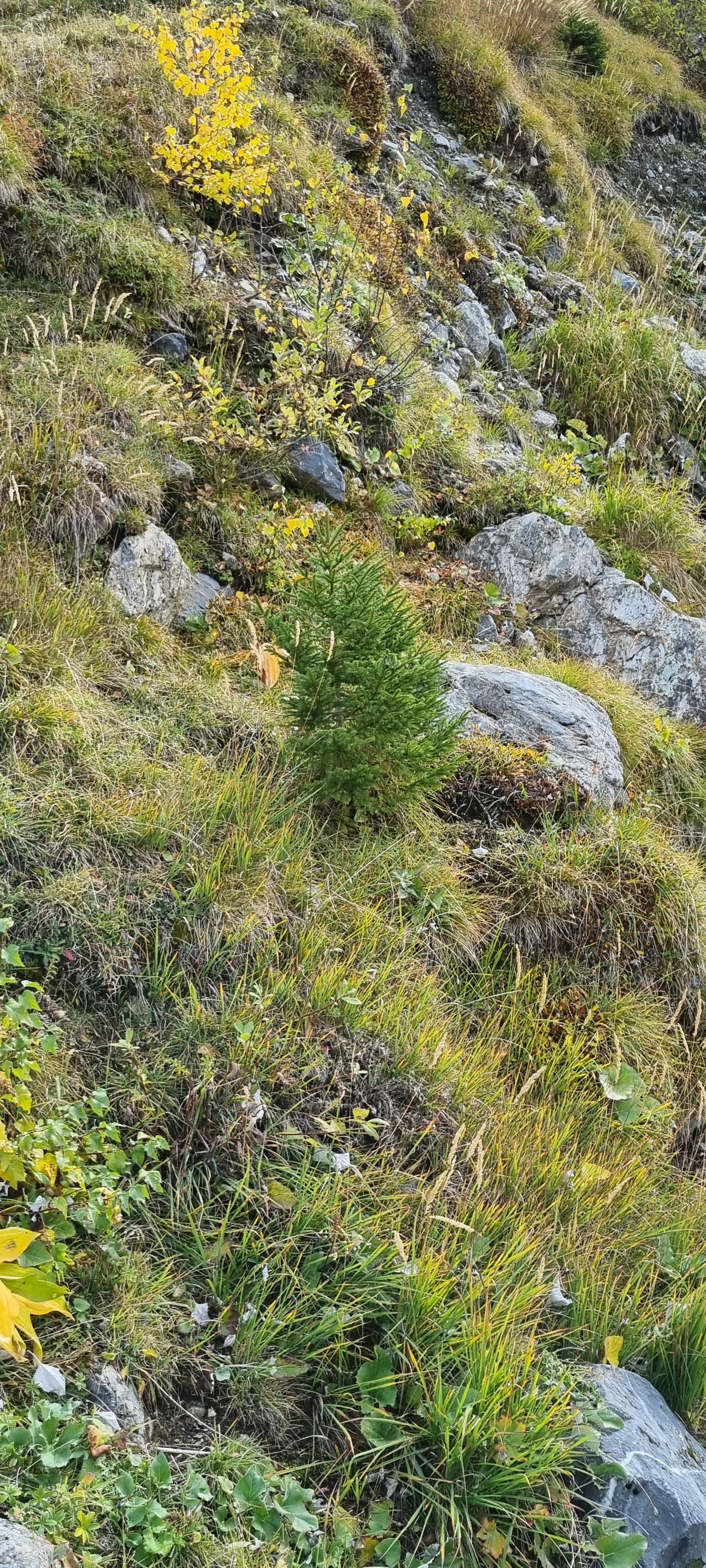 Photo n° 40 de l'avis de Raymond.a fait le 24/10/2023 à 19:44