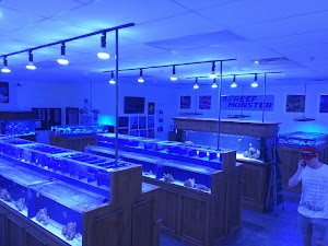 Reef Monsters - photo 13