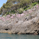 Photo n°3 de l'avis de Luca.c fait le 30/04/2024 à 16:08 sur le  Beach Fiascherino 2 à Lerici