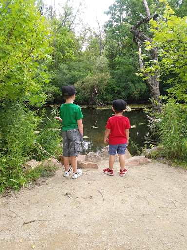 Nature Preserve «Wildwood Nature Center», reviews and photos, 529 Forestview Ave, Park Ridge, IL 60068, USA