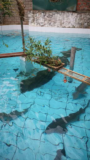 Top 17 cửa hàng brother Huyện Mộc Châu Sơn La 2022