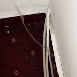 Photo n°1 de l'avis de dirk.r fait le 13/10/2020 à 08:44 sur le  Hotel Wali à Bielefeld