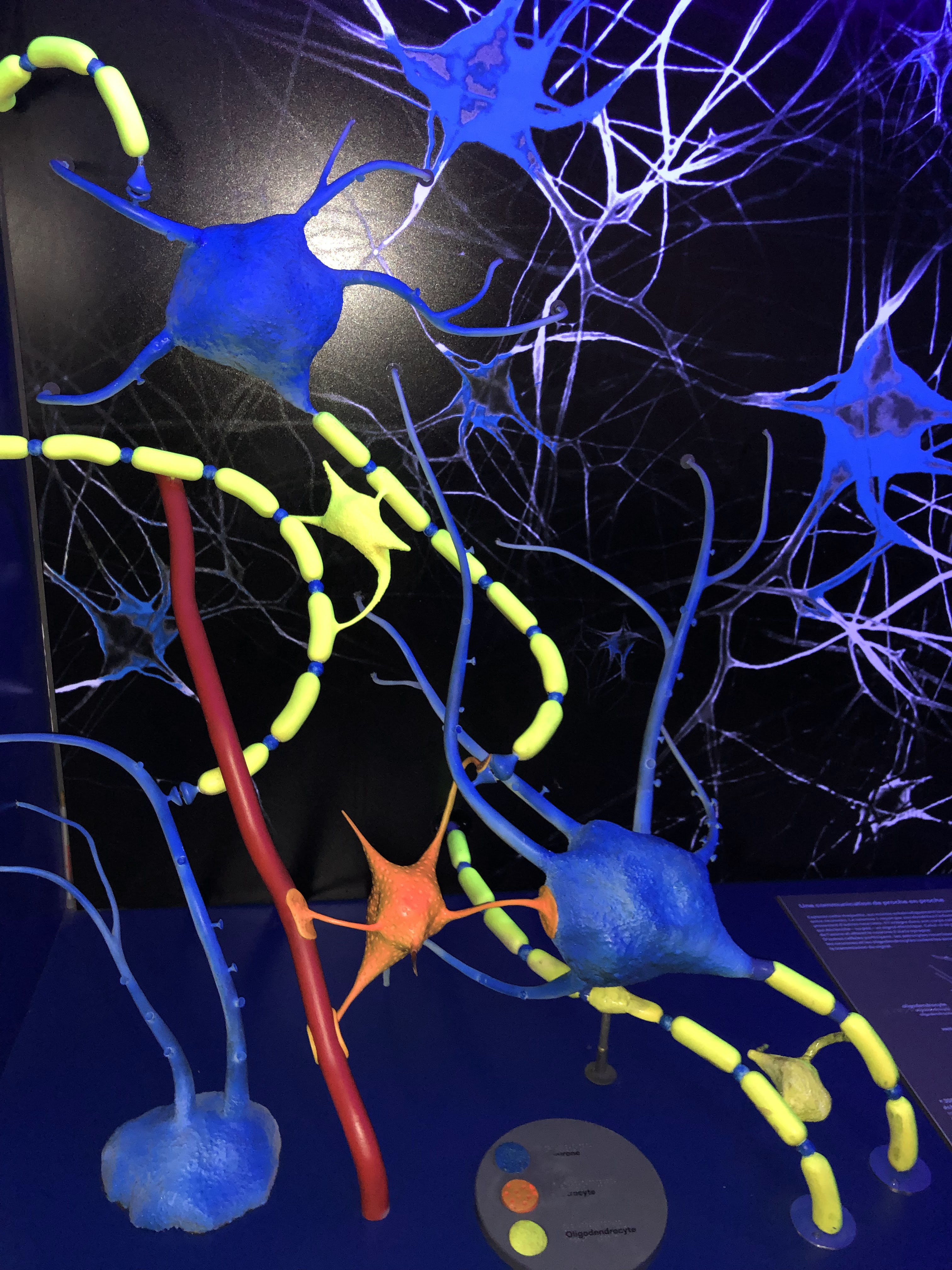 Photo n° 3 de l'avis de Nicolas.a fait le 07/06/2022 à 05:35
