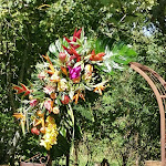 Photo n° 1 de l'avis de Valerie.i fait le 22/08/2023 à 10:42 pour CITRON'ELLE - ANATO FLEURS à Parigné-l'Évêque