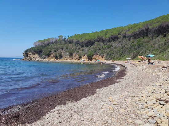 Martina Beach