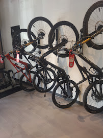 Specialized Los Gatos - Photo 8 - Car repair in Los Gatos, CA, Sacramento