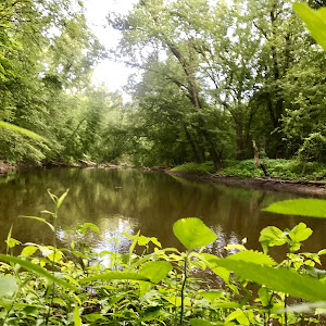 Harris Nature Center - review photo
