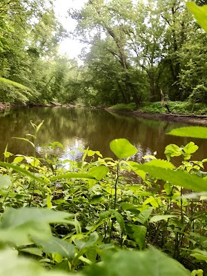 Harris Nature Center - photo 29