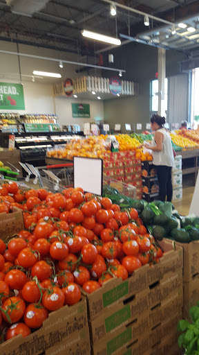 Shopping Mall «Westfield Southgate», reviews and photos, 3501 S Tamiami Trail, Sarasota, FL 34239, USA