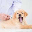 Bayview Pet Medical and Dental Center