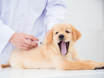 Bayview Pet Medical and Dental Center