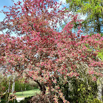 Photo n°10 de l'avis de S.u fait le 26/04/2019 à 12:33 sur le  Turm Hotel Schwedt à Schwedt