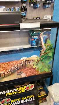 The Hidden Reef, Inc - Photo 3 - Car repair in Levittown, PA, Trenton