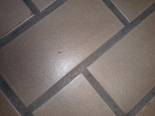 Car Dealer «Vicksburg Chrysler Dodge Jeep Ram», reviews and photos, 13475 Portage Rd, Vicksburg, MI 49097, USA