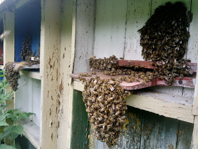 Včelařství Kopřivovi