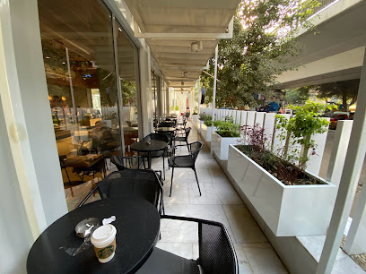 Starbucks Elzamalek