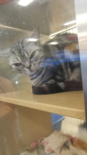 Pet Supply Store «PetSmart», reviews and photos, 170 Marketplace Blvd, Hamilton Township, NJ 08691, USA