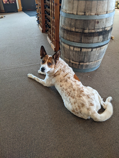 Winery «Hosmer Winery», reviews and photos, 7020 NY-89, Ovid, NY 14521, USA