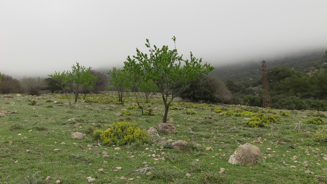 Oum el Bouaghi, Cezayir