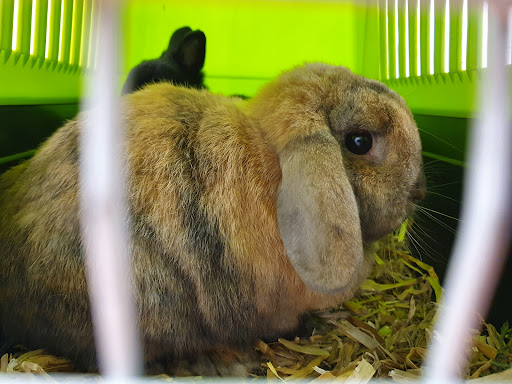 Kleintierpraxis Sudweyher Heide unter Weyhe, 