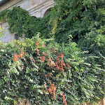 Photo n°12 de l'avis de Roberto.a fait le 30/10/2023 à 12:55 sur le  Villa Armena Luxury Relais à Buonconvento