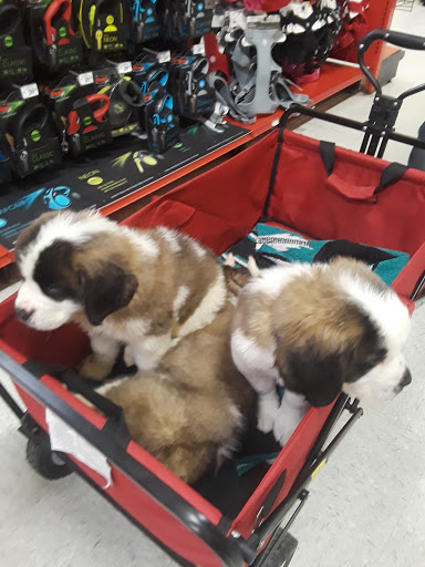 Pet Supply Store «Petco Animal Supplies», reviews and photos, 13691 Ridgedale Dr, Minnetonka, MN 55305, USA