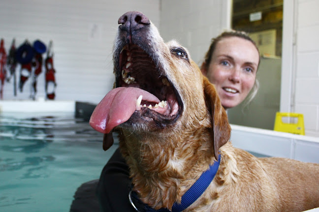 Reviews of Burntwood Canine Hydrotherapy in Doncaster - Veterinarian