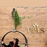 Photo n°1 de l'avis de Flavia.e fait le 17/11/2021 à 09:03 sur le  Tribus Restaurant à Pozzuoli