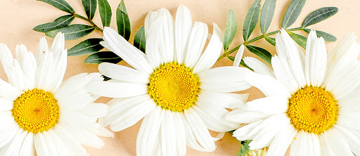 Grocery Store «Schnucks», reviews and photos, 141 Hilltown Village Center, Chesterfield, MO 63017, USA