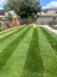 Abraham Oseguera Landscaping - Photo 7 - Car repair in , San Jose