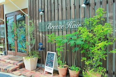 Breeze hair