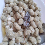 Photo n°3 de l'avis de edoardo.a fait le 13/06/2021 à 21:51 sur le  Trattoria da Rosanna à Casale di Pari