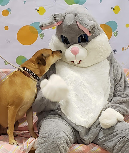 Pet Supply Store «PetSmart», reviews and photos, 2818 S Louise Ave, Sioux Falls, SD 57106, USA