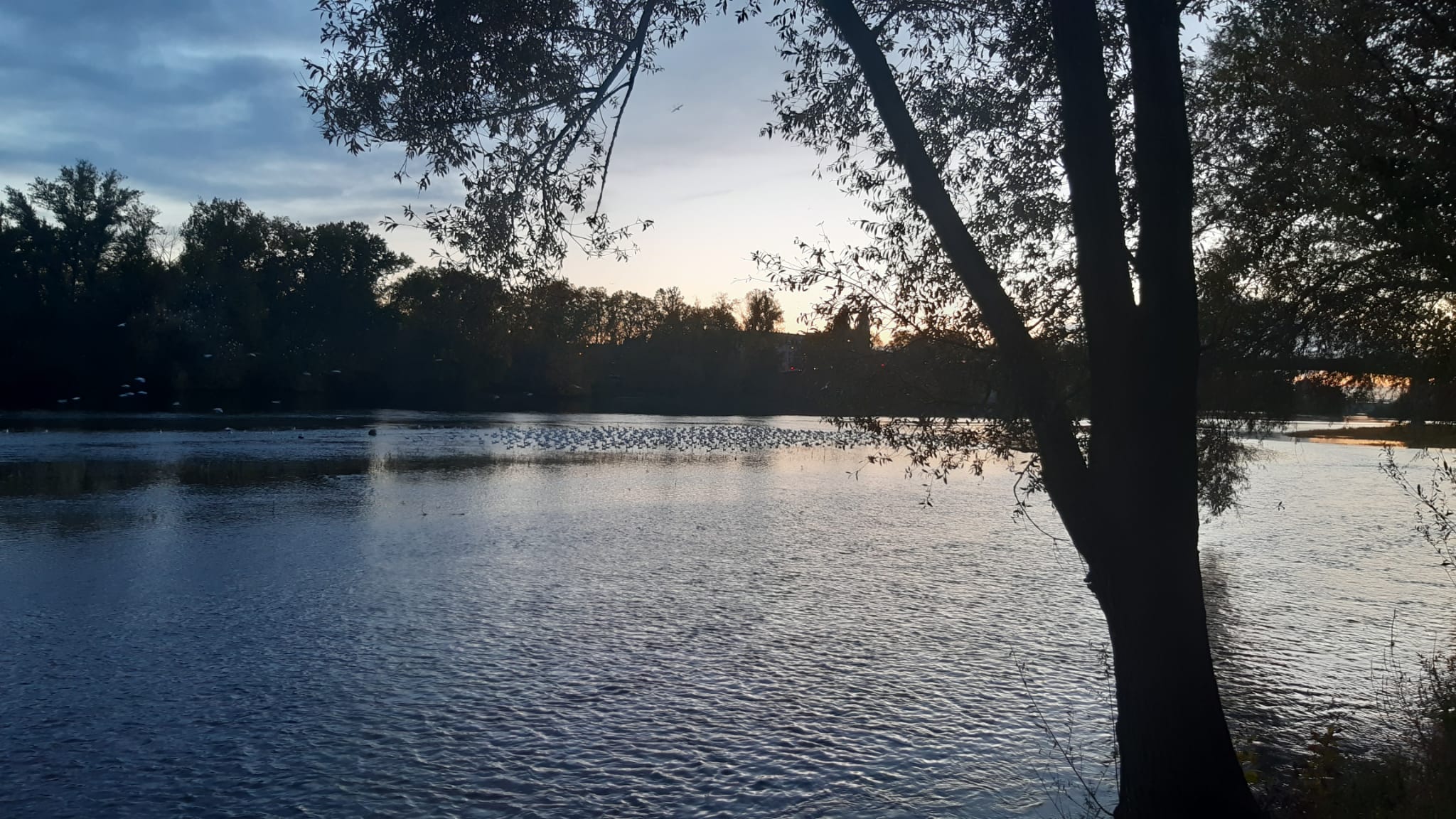 Photo n° 25 de l'avis de Haly.h fait le 30/10/2023 à 17:59