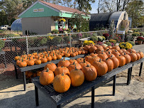 Swansea Nursery & Landscaping Supplies - Photo 2 - Car repair in Swansea, MA, New Bedford
