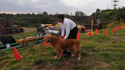 Perros de Busqueda y Rescate UNAM