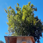 Photo n°3 de l'avis de Michele.c fait le 20/08/2023 à 09:23 sur le  Dolomiti Village à Comeglians