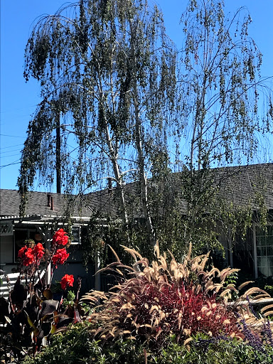 Paige Kaye, Santa Barbara Broker image