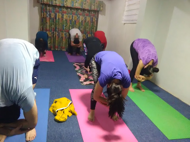 Opiniones de Nómade Yoga en Temuco - Centro de yoga