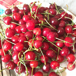 Life Insurance Agent In Samba, Jammu And Kashmir photo