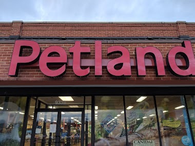 Petland Knoxville