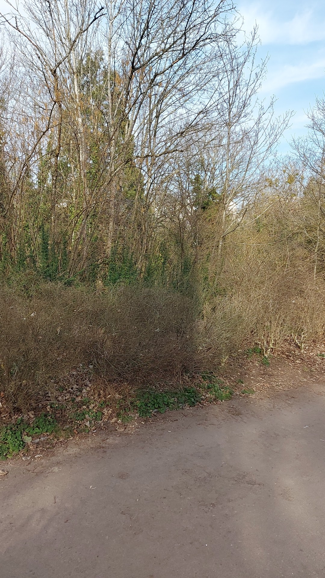 Photo n° 4 de l'avis de Sam.a fait le 14/02/2021 à 12:12